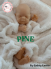 PINE by Gabby Lanier